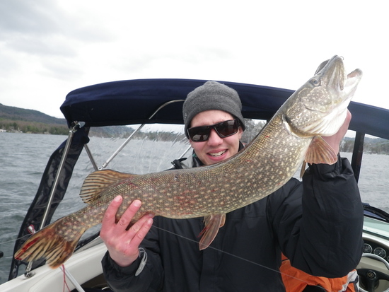 Pike